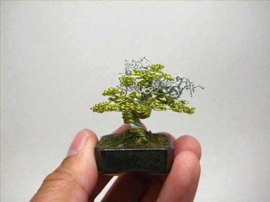 Bonsai, cây cảnh nghệ thuật, cay canh nghe thuat, cây thế, cay the, triển lãm cây cảnh nghệ thuật, trien lam cay canh nghe thuat